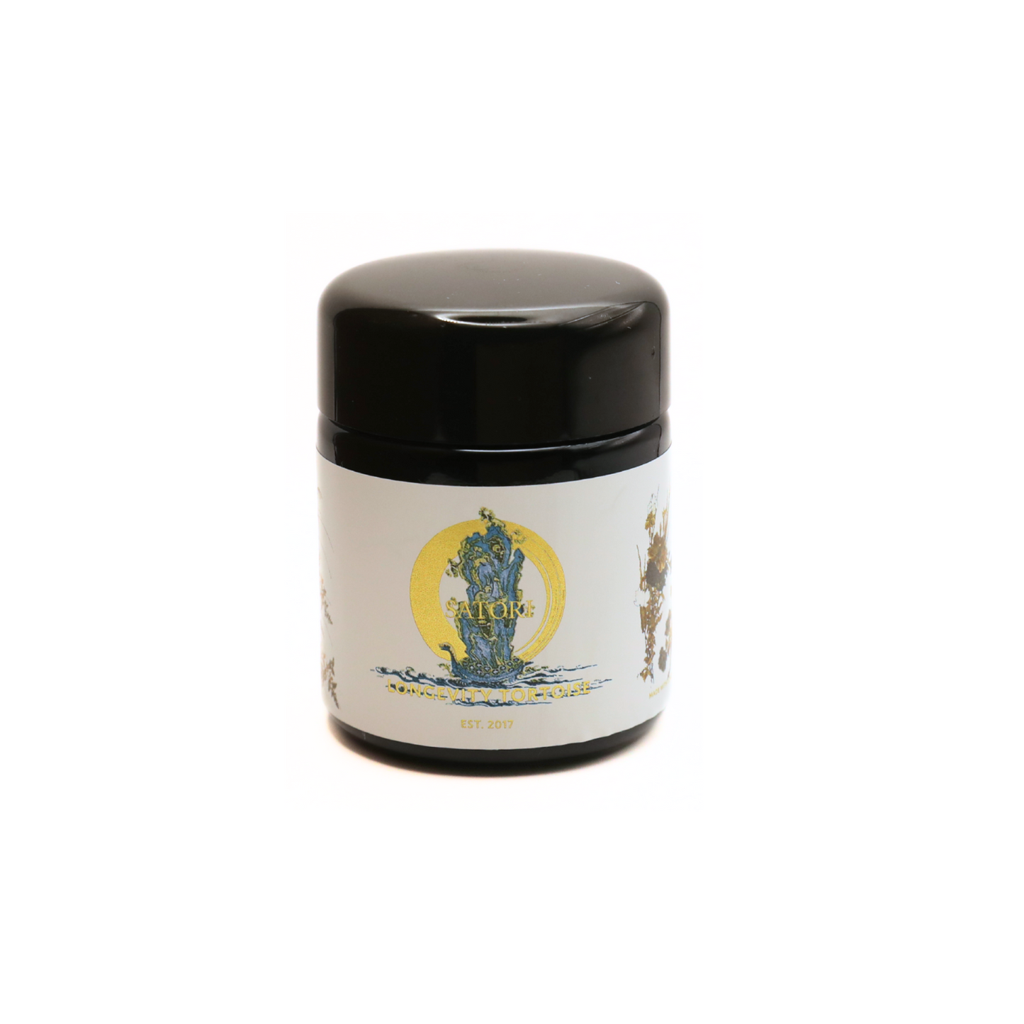 Non-Activated Longevity Tortoise